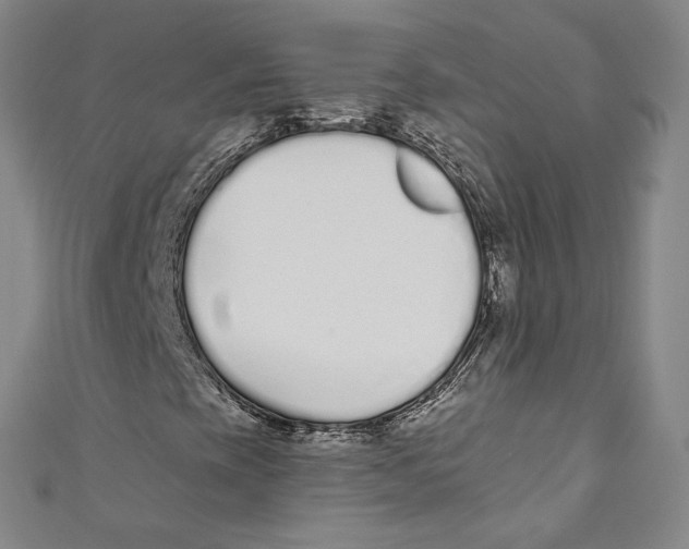 X0000110691393200907101138