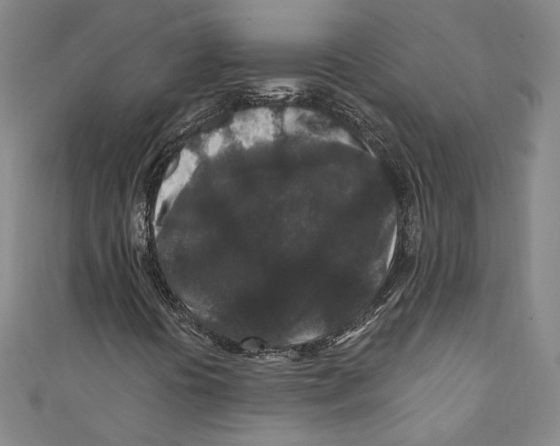 X0000110691394200907101138