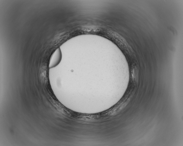 X0000110691396200907101138