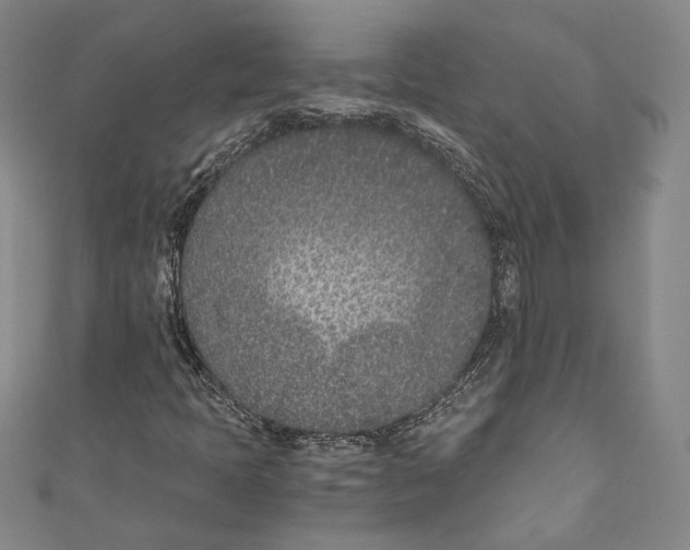 X0000110691397200907101138