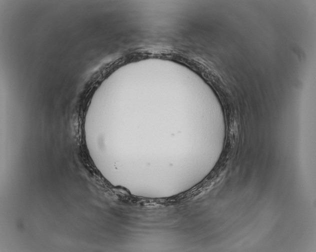 X0000110691398200907101138