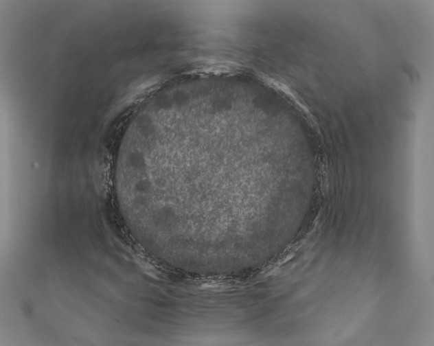 X0000110691399200907101138