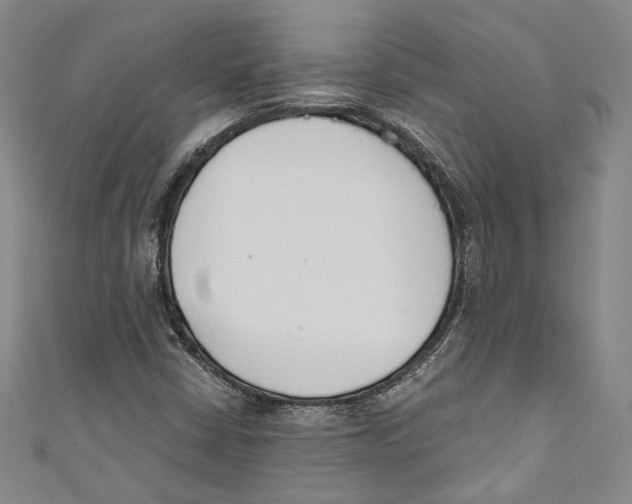 X0000110691402200907101138