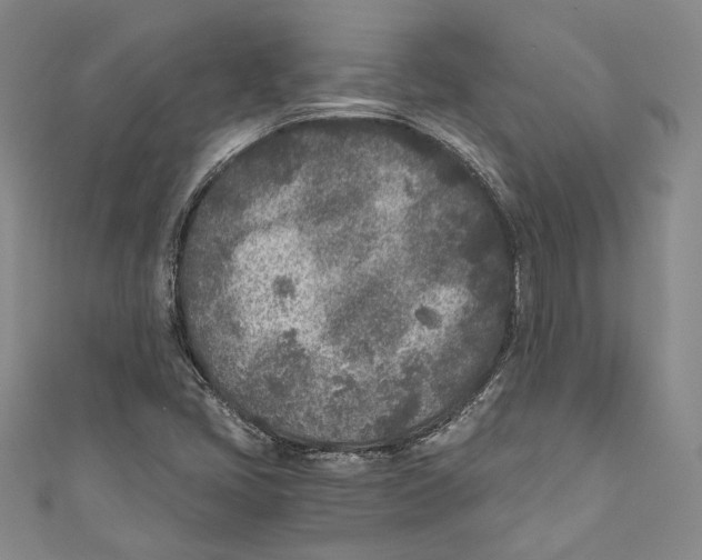 X0000110691405200907101139