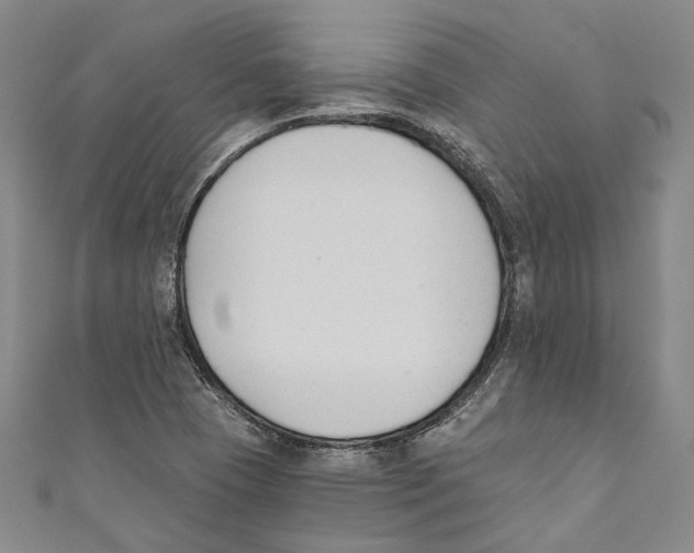 X0000110691409200907101139