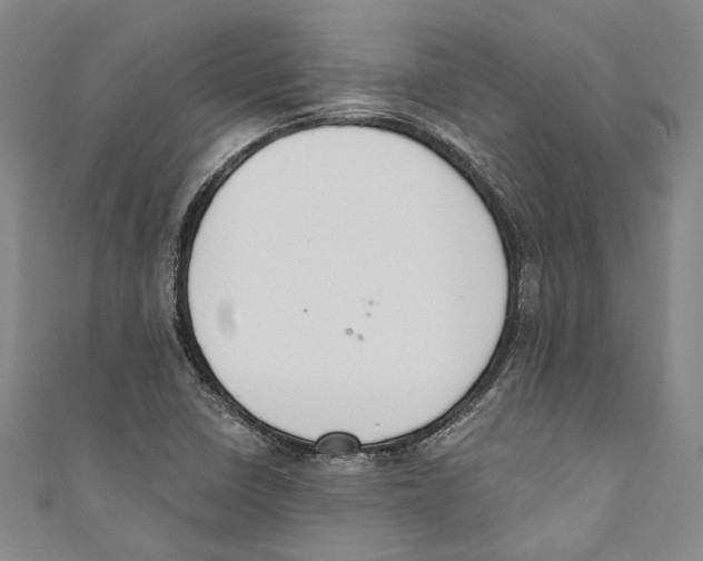 X0000110691410200907101139