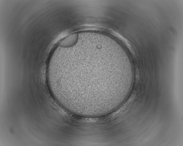 X0000110691411200907101139