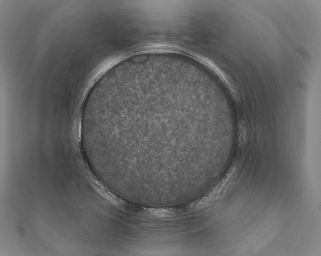 X0000110691413200907101139