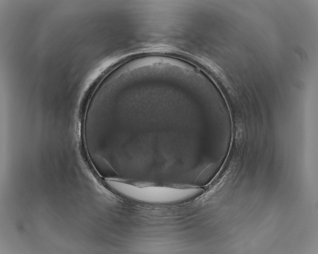 X0000110691414200907101139