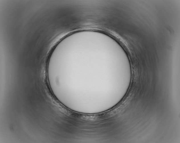 X0000110691415200907101139