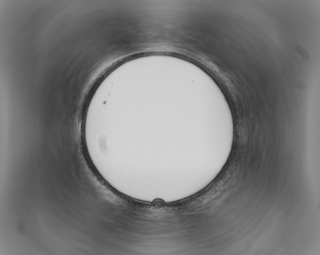 X0000110691416200907101139