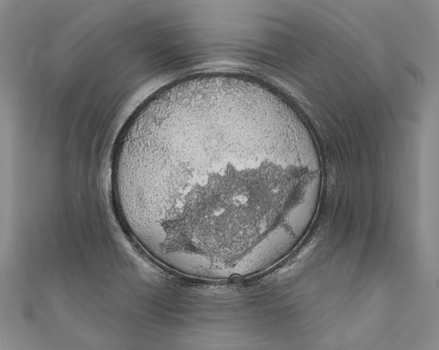 X0000110691418200907101139