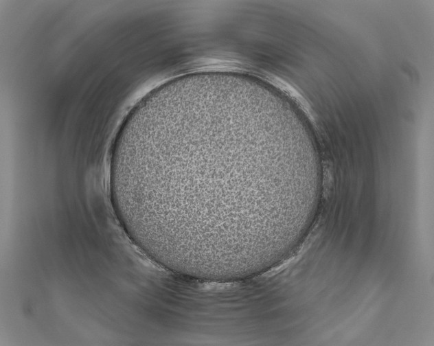 X0000110691419200907101139