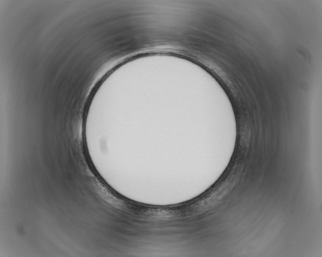 X0000110691420200907101139