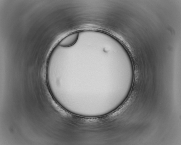 X0000110691421200907101139