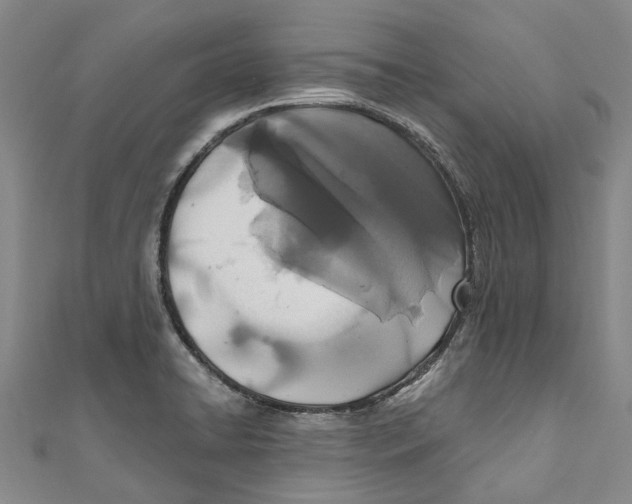 X0000110691422200907101139