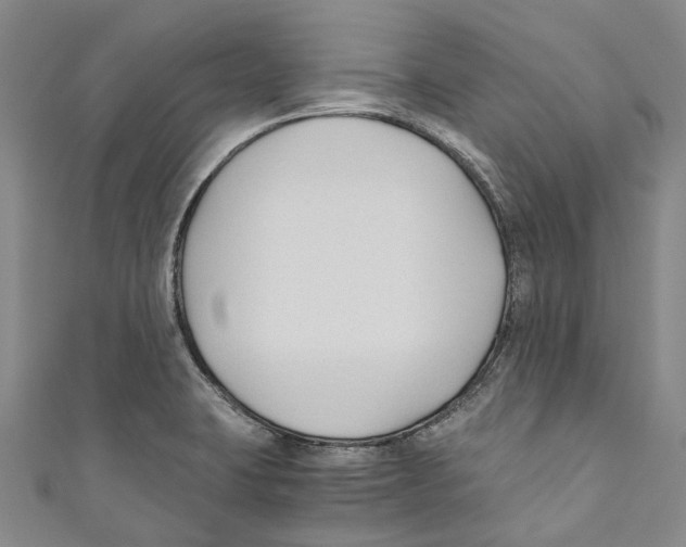 X0000110691423200907101139