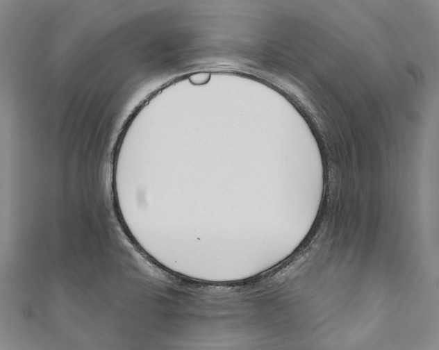 X0000110691424200907101139