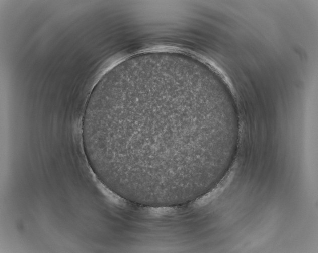 X0000110691425200907101139