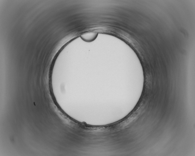 X0000110691426200907101139