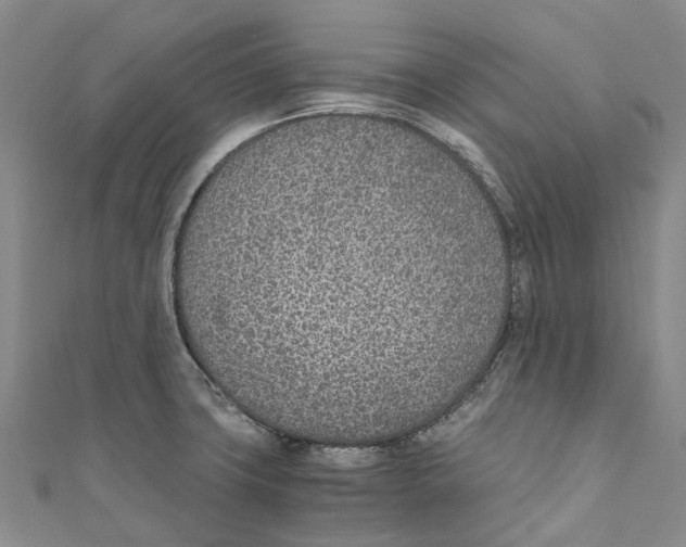 X0000110691427200907101139