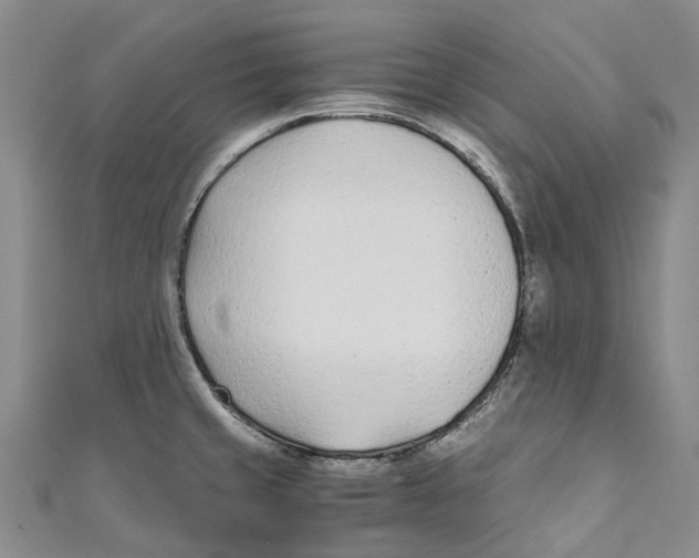 X0000110691429200907101139