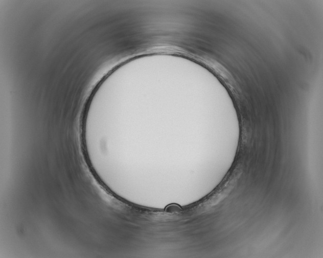 X0000110691430200907101139