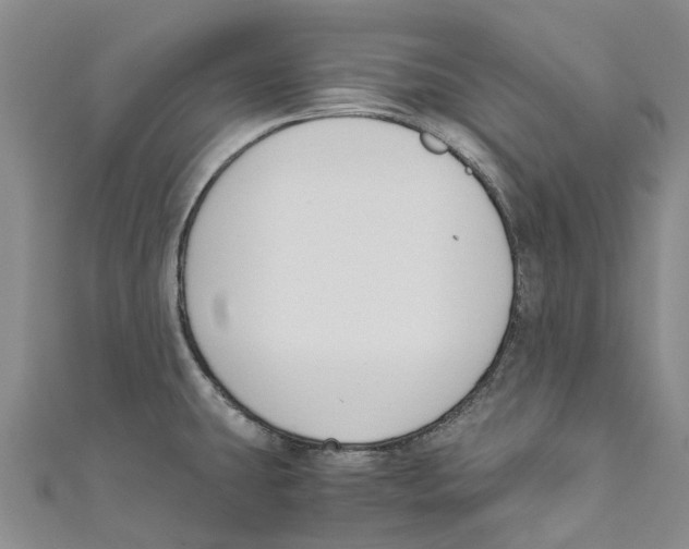 X0000110691431200907101139