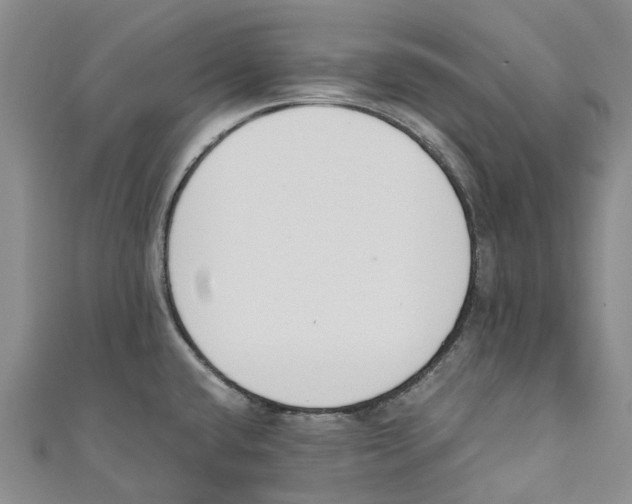 X0000110691432200907101139