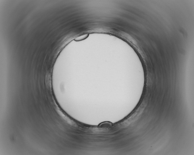 X0000110691433200907101139