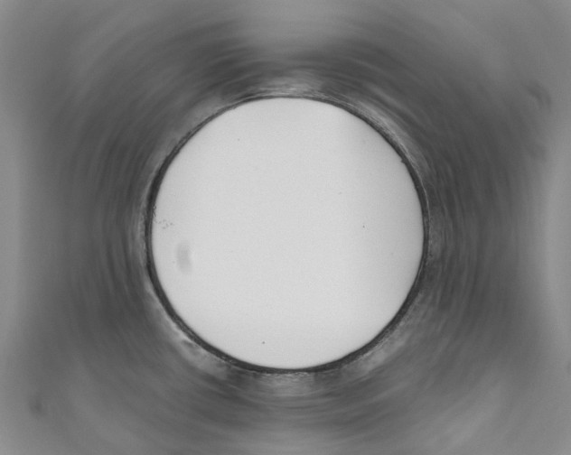 X0000110691434200907101139