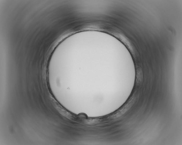 X0000110691435200907101139