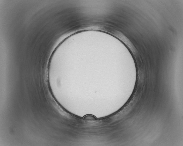 X0000110691436200907101139