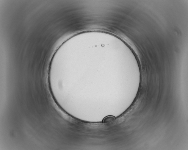 X0000110691437200907101139