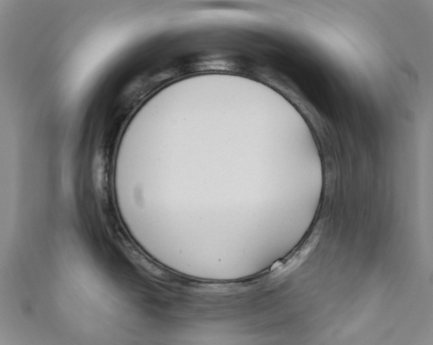 X0000110691438200907101139