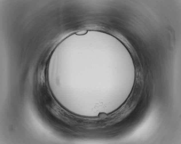 X0000110691439200907101139