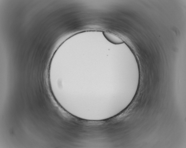 X0000110691440200907101139