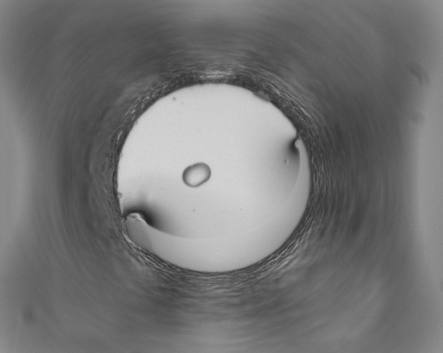 X0000110691441200907101138