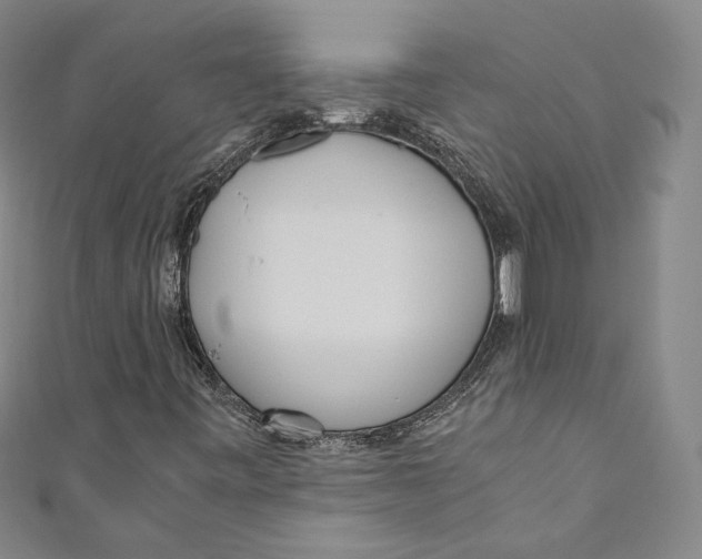 X0000110691443200907101138