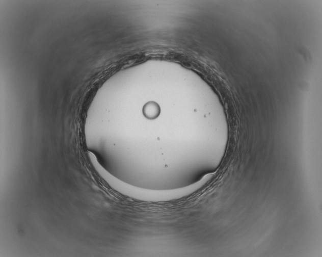 X0000110691445200907101138