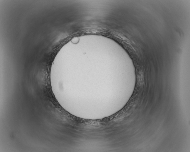 X0000110691446200907101138