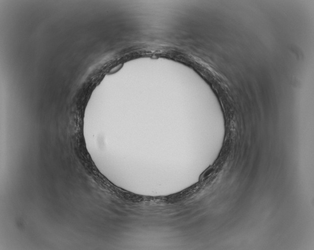 X0000110691447200907101138