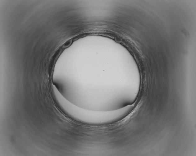 X0000110691449200907101138