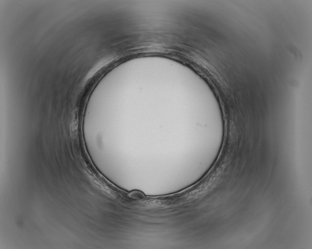 X0000110691450200907101138