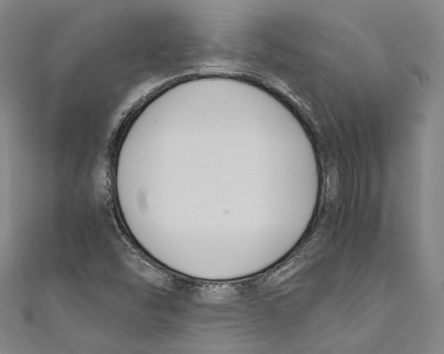 X0000110691454200907101138