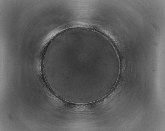 X0000110691455200907101138