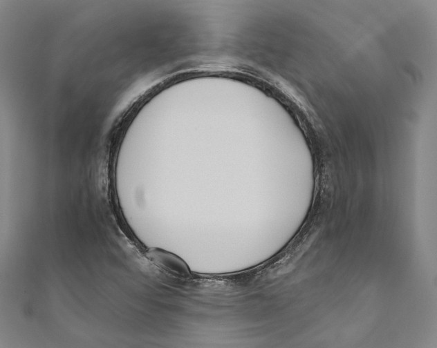 X0000110691456200907101138