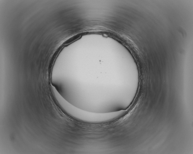 X0000110691457200907101138