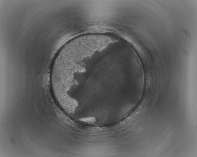 X0000110691459200907101138