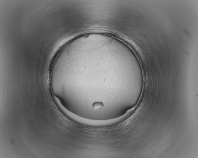 X0000110691461200907101138